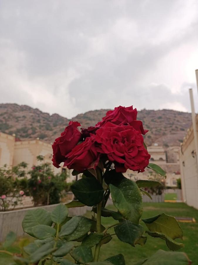 Fiori Resort ฏออิฟ ภายนอก รูปภาพ